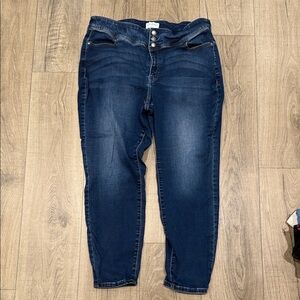 Lane Bryant High Rise Indigo Jeans